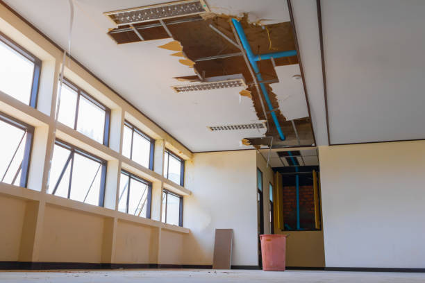 Best Local water damage restoration  in Needles, CA