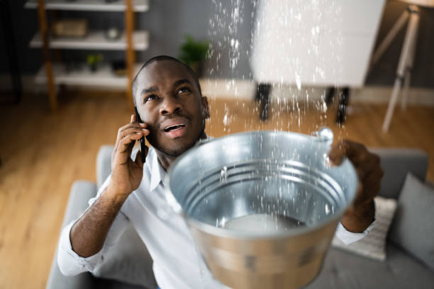 Best Basement water damage restoration  in Needles, CA