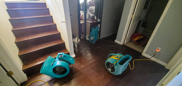 Best Commercial water damage restoration  in Needles, CA