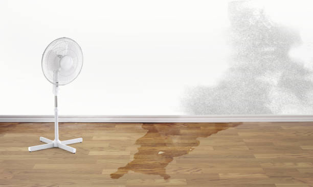 Best Flooded house restoration  in Needles, CA
