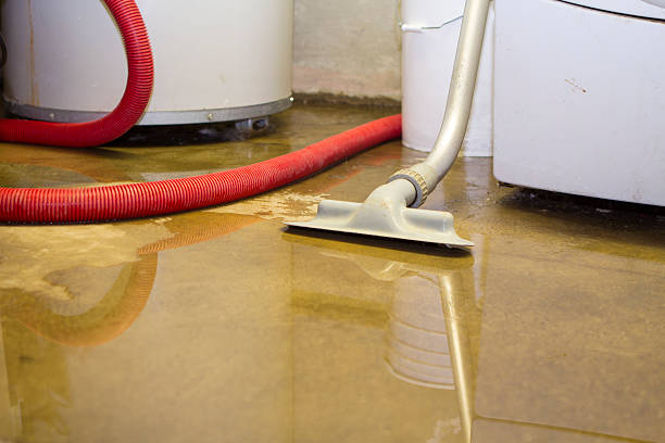 Best 24/7 water damage repair  in Needles, CA