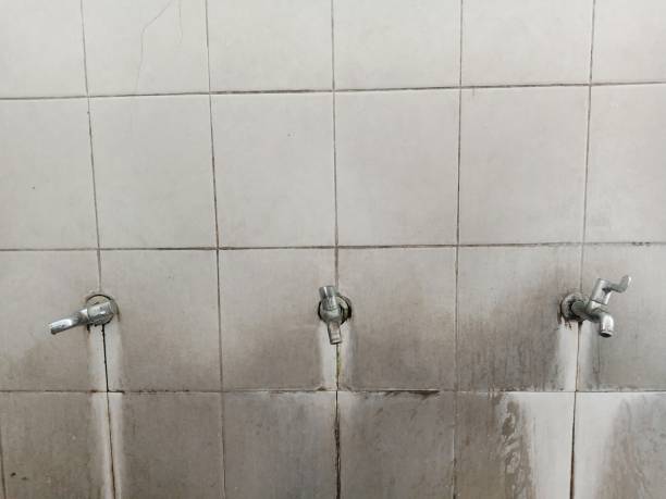 Best Mold removal after water damage  in Needles, CA