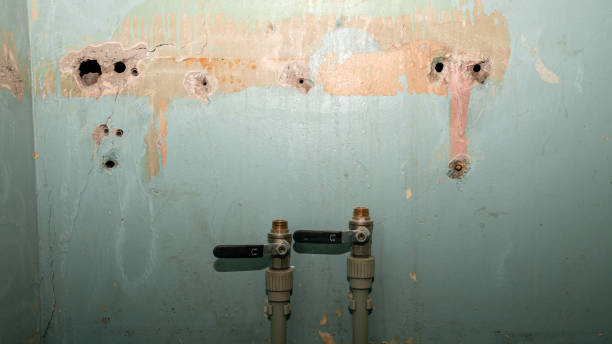 Best 24-hour water damage restoration  in Needles, CA