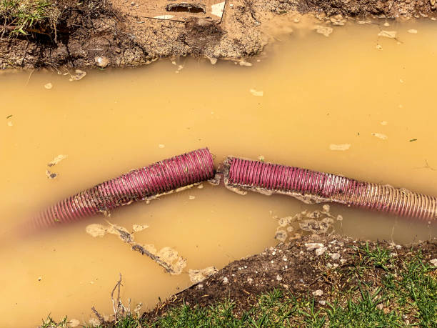 Best Basement water damage restoration  in Needles, CA